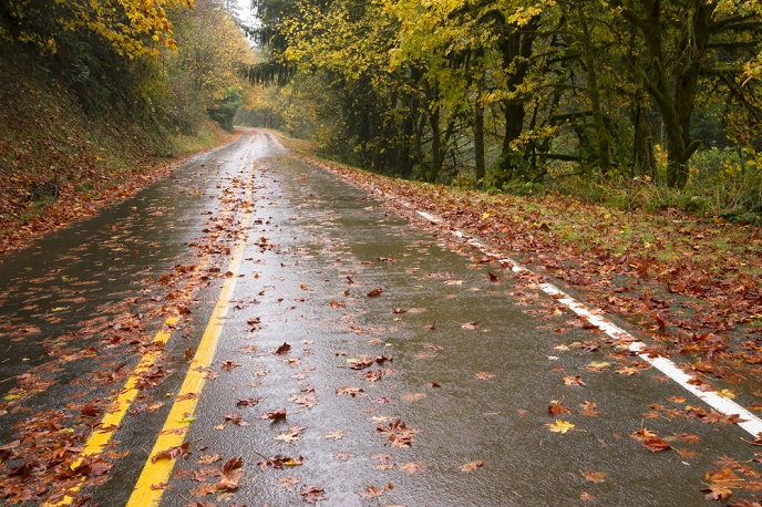 South Carolina Road Distractions